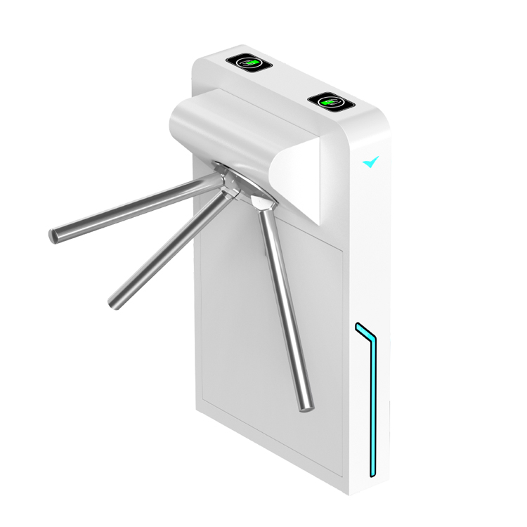 Interactive image with pins